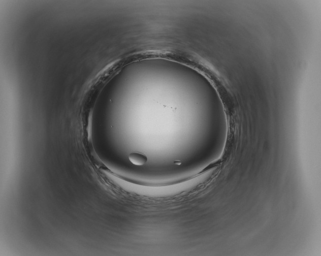 X0000113071448200909041048