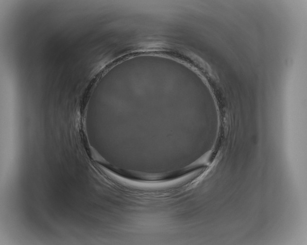 X0000113071449200909041048