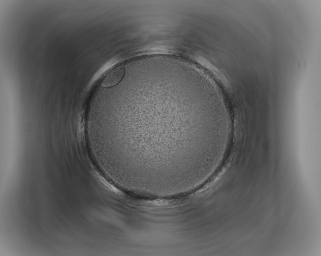 X0000113071450200909041048