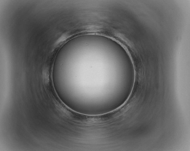 X0000113071451200909041048