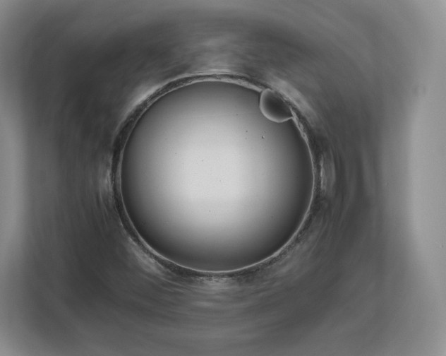 X0000113071452200909041048