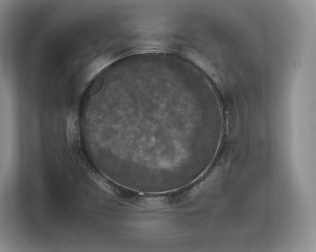 X0000113071453200909041048