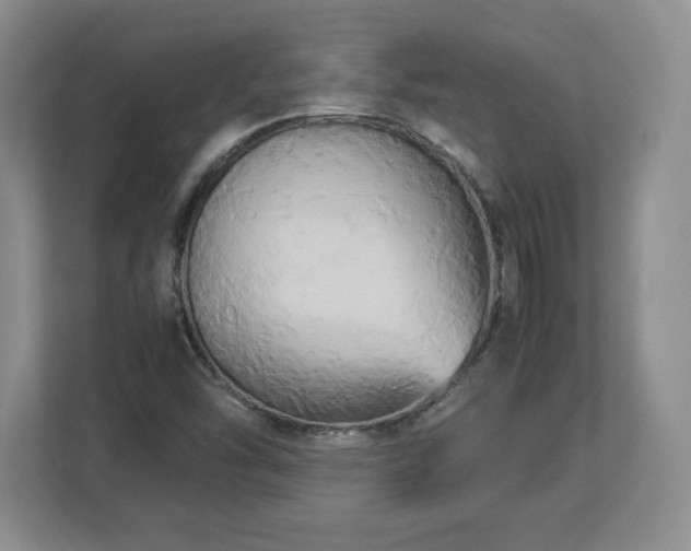 X0000113071454200909041048