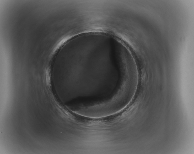 X0000113071455200909041048