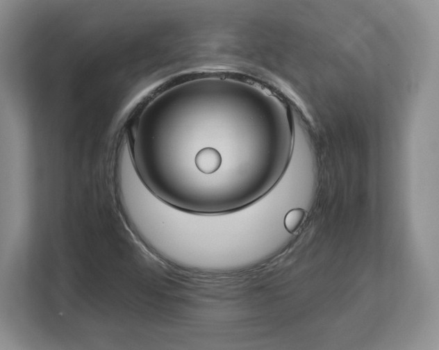 X0000113071456200909041048