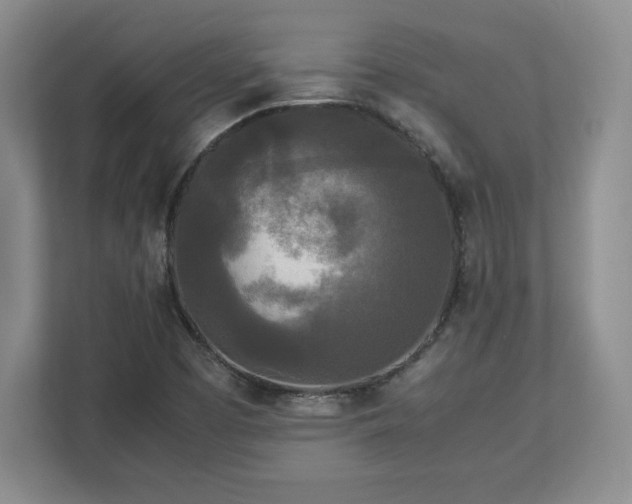 X0000113071457200909041048