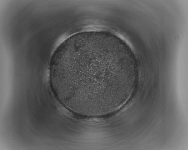 X0000113071459200909041048