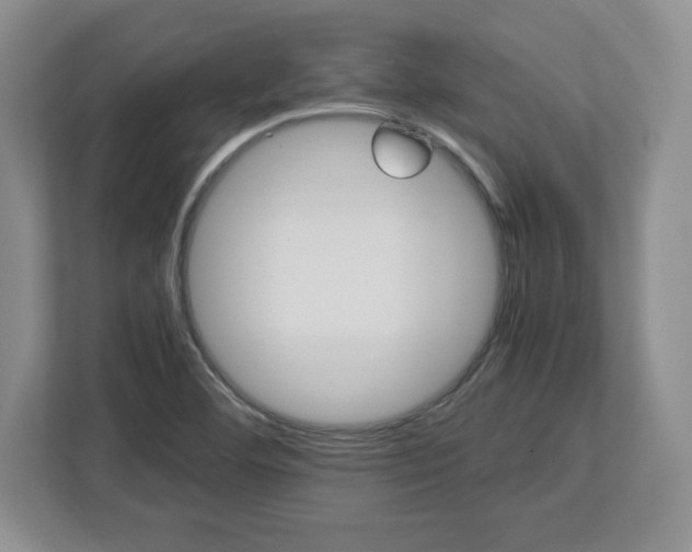 X0000113071460200909041048