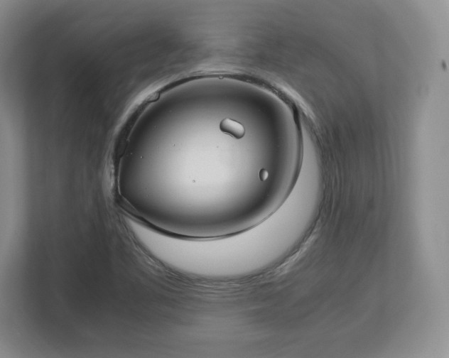 X0000113071461200909041048