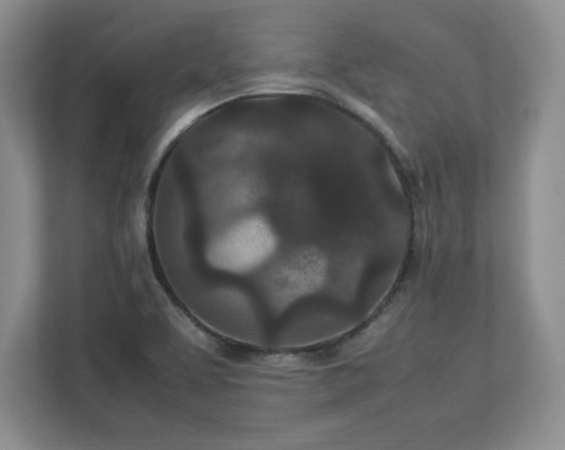 X0000113071463200909041048