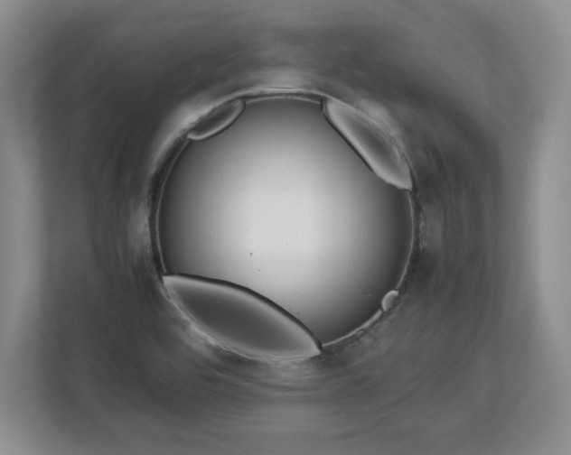 X0000113071464200909041048