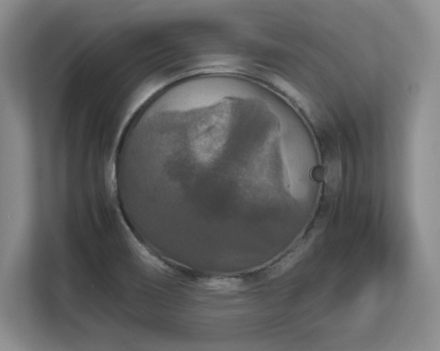 X0000113071466200909041048