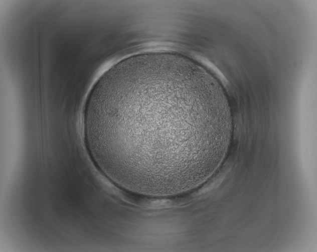 X0000113071467200909041048