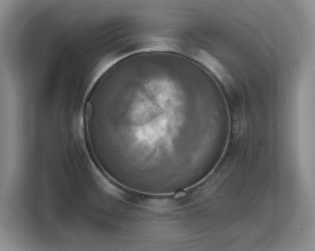 X0000113071468200909041048