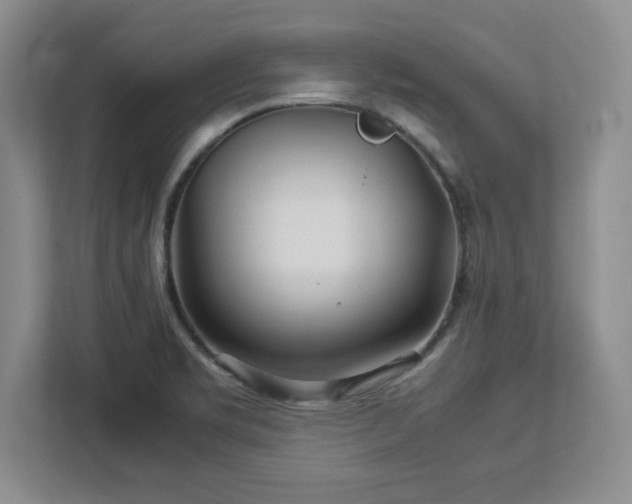 X0000113071469200909041048