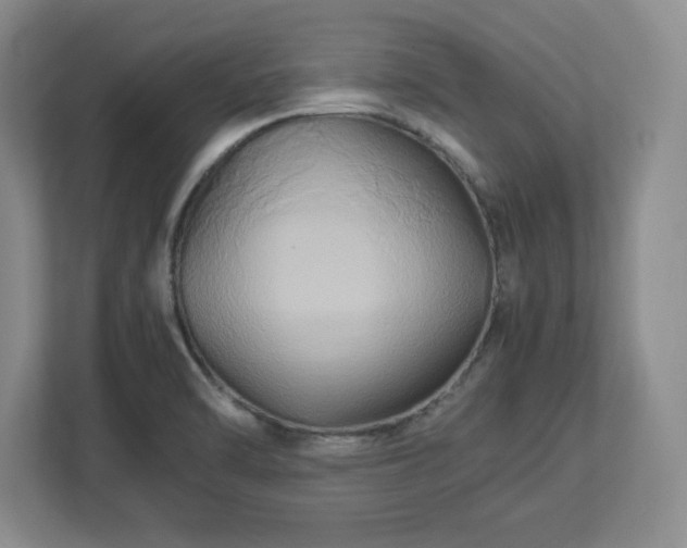 X0000113071470200909041048