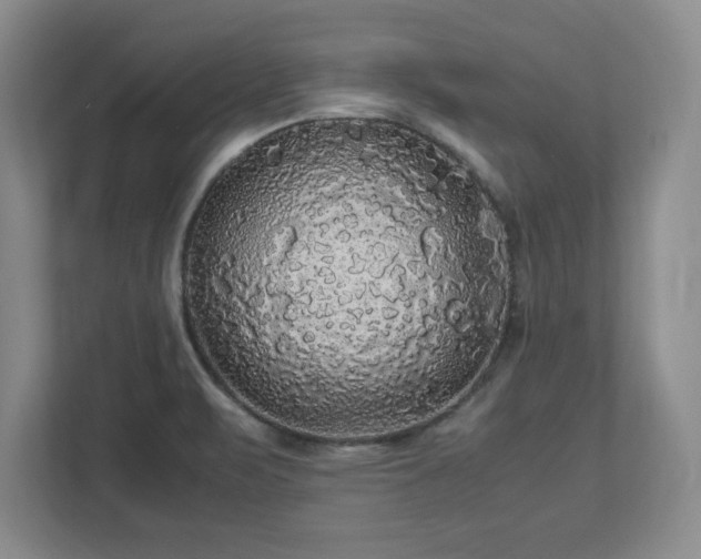 X0000113071471200909041048