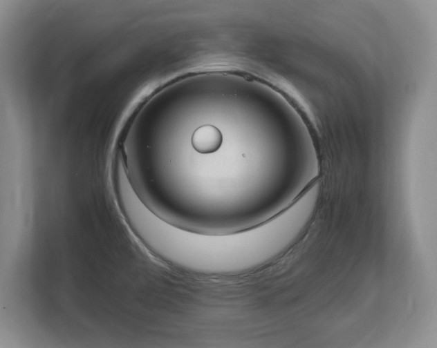 X0000113071472200909041048