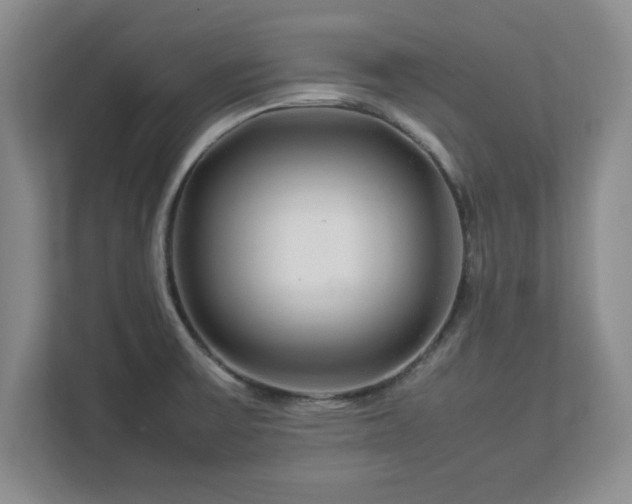 X0000113071475200909041048