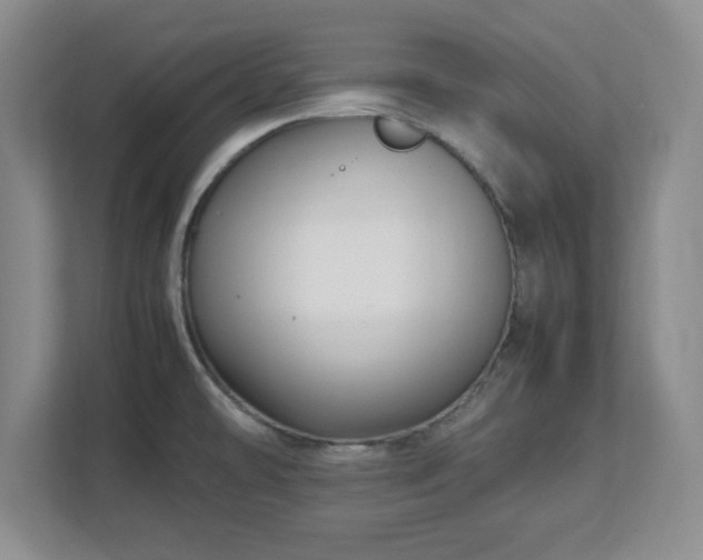 X0000113071478200909041048