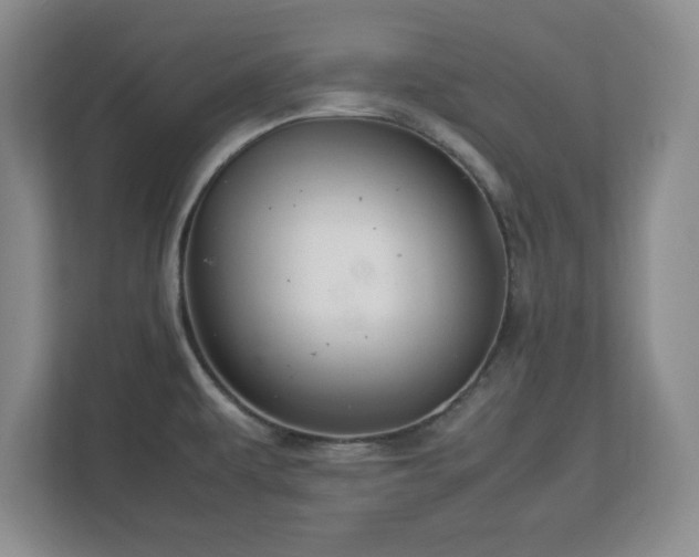 X0000113071479200909041048