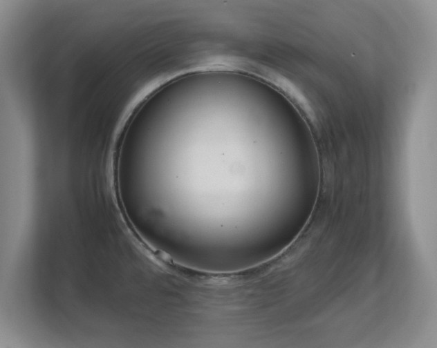 X0000113071480200909041048