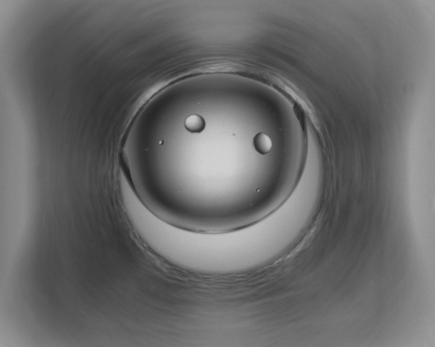 X0000113071481200909041048