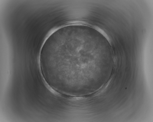 X0000113071482200909041048