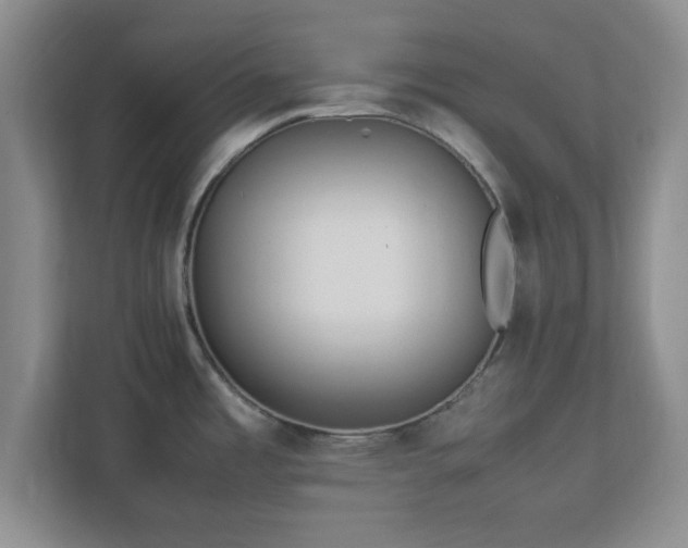 X0000113071485200909041048