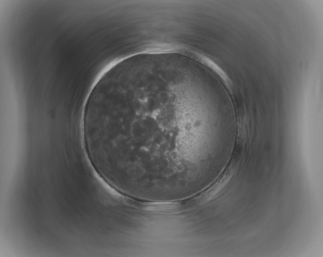 X0000113071487200909041048