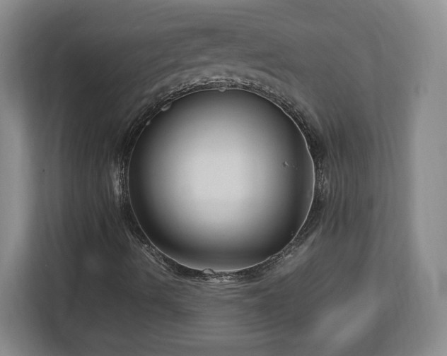 X0000113071490200909041047