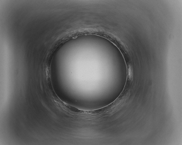 X0000113071492200909041047