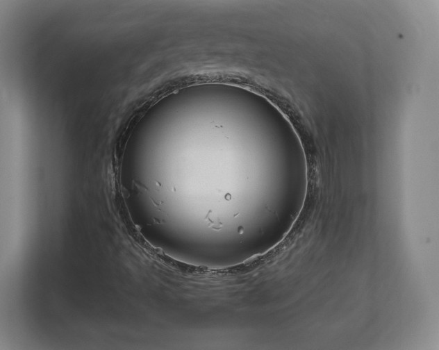 X0000113071493200909041047