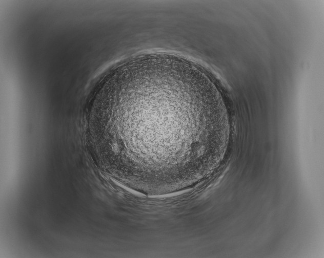 X0000113071494200909041047