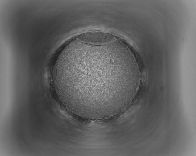 X0000113071496200909041047