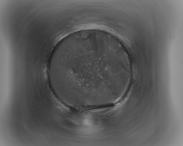 X0000113071497200909041047