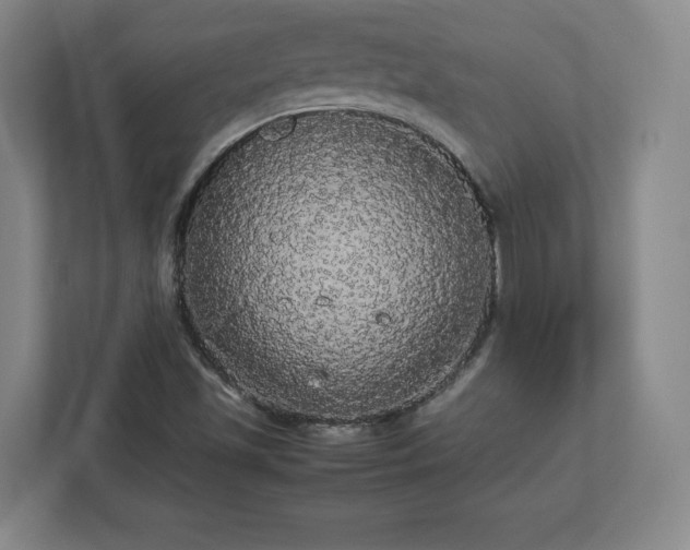 X0000113071501200909041047