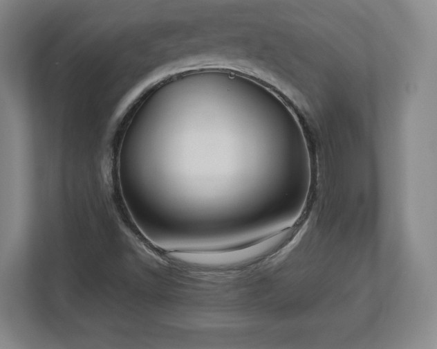 X0000113071502200909041047