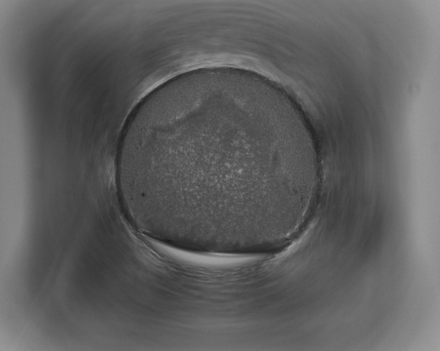 X0000113071505200909041047