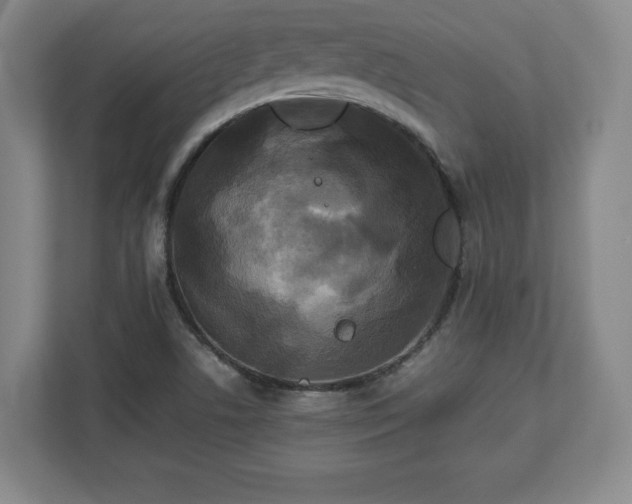 X0000113071506200909041047