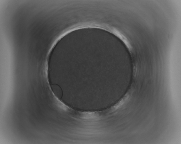 X0000113071508200909041047