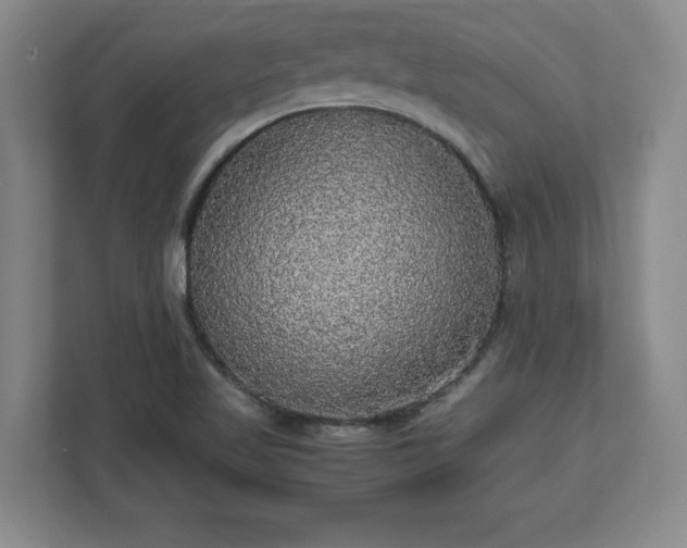 X0000113071509200909041047