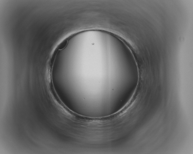 X0000113071510200909041047