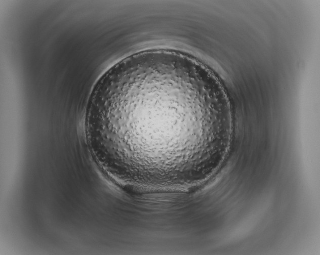 X0000113071513200909041047