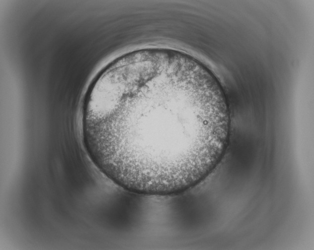 X0000113071514200909041047