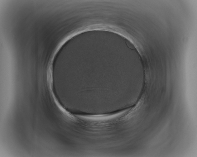 X0000113071515200909041047