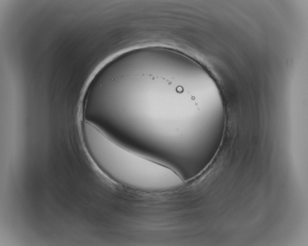 X0000113071516200909041047