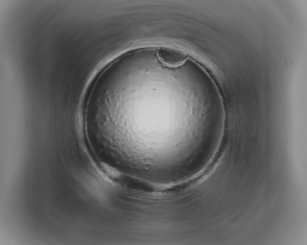 X0000113071517200909041047