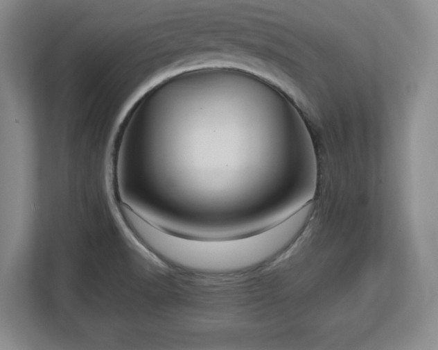 X0000113071518200909041047