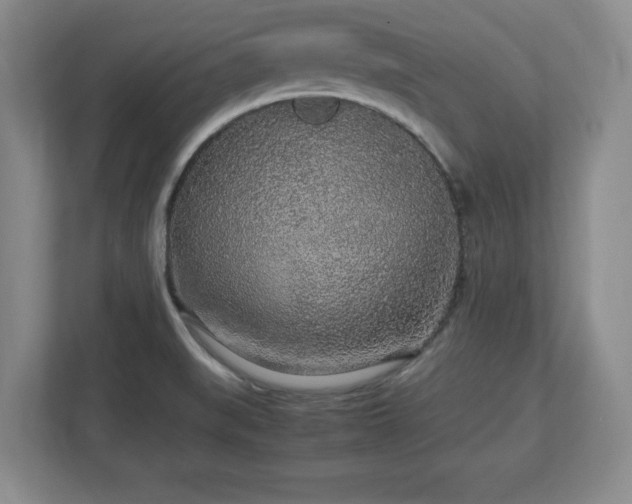 X0000113071519200909041047